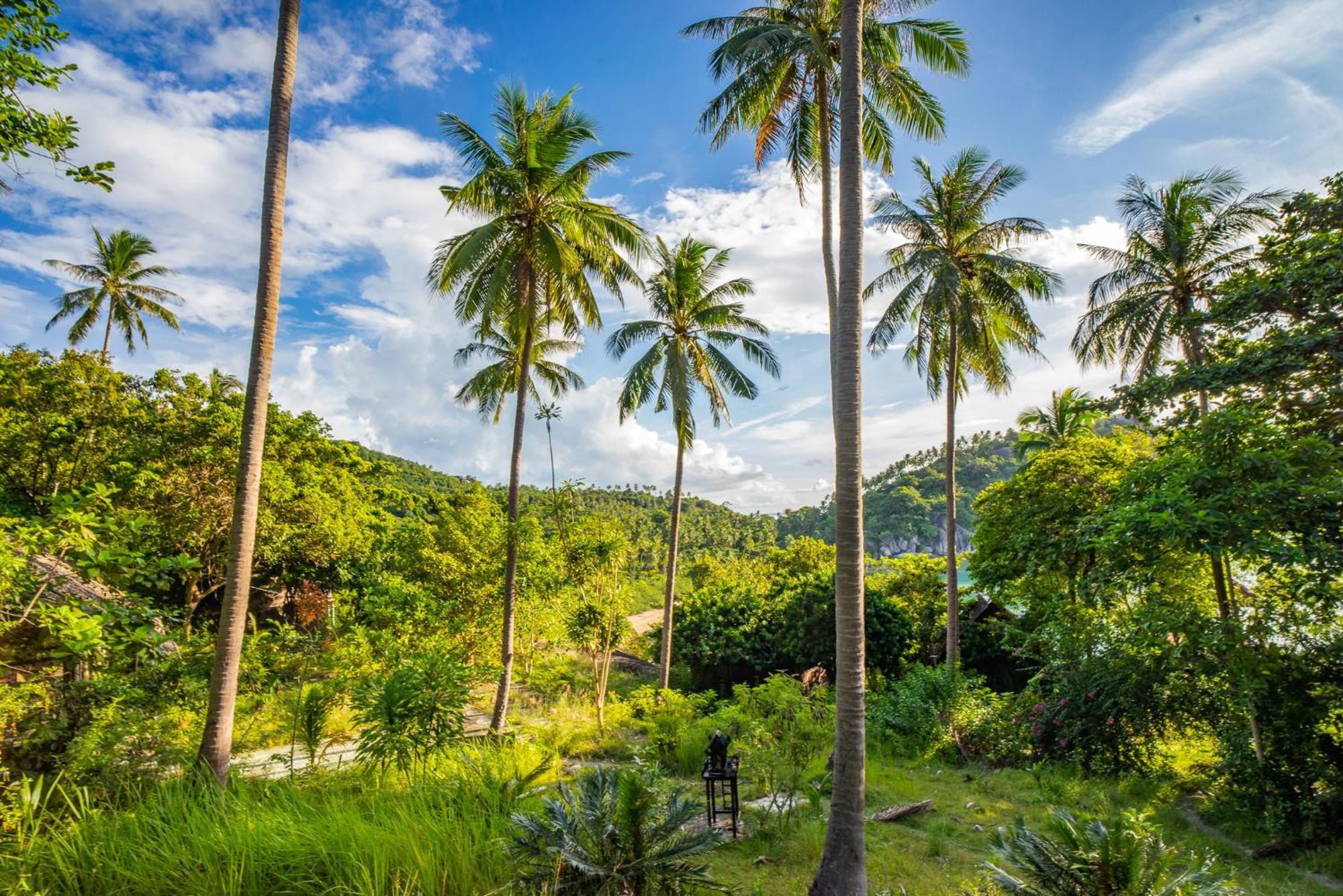 Echo Beach Hostel Баан Тай Экстерьер фото
