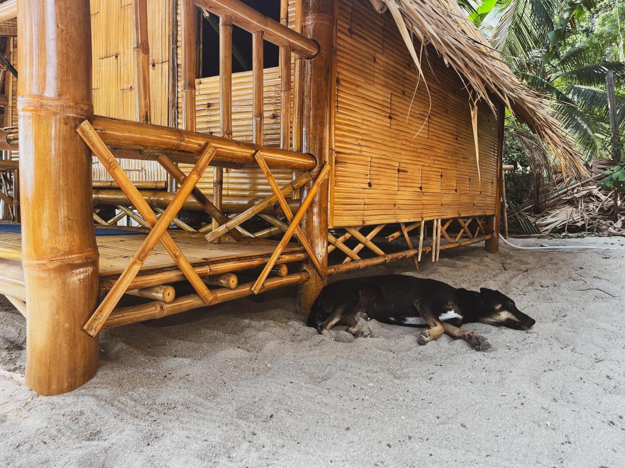 Echo Beach Hostel Баан Тай Экстерьер фото
